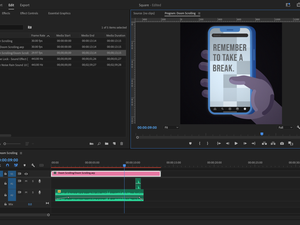 Premiere Pro